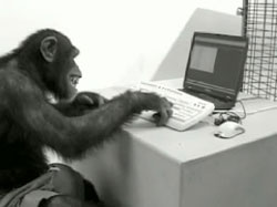 Monkey-Playing-On-PC.jpg